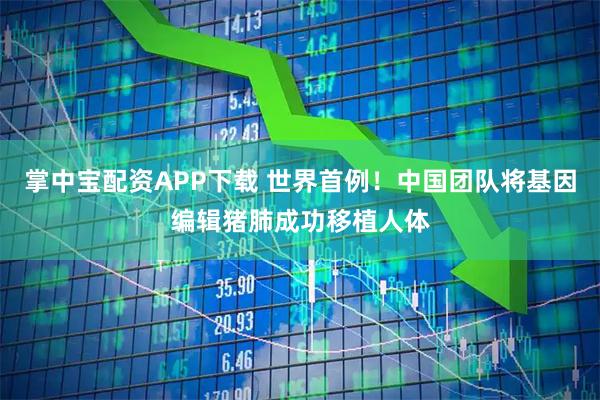 掌中宝配资APP下载 世界首例！中国团队将基因编辑猪肺成功移植人体